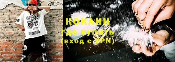 индика Каменка