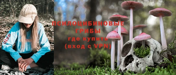 а пвп мука Аркадак
